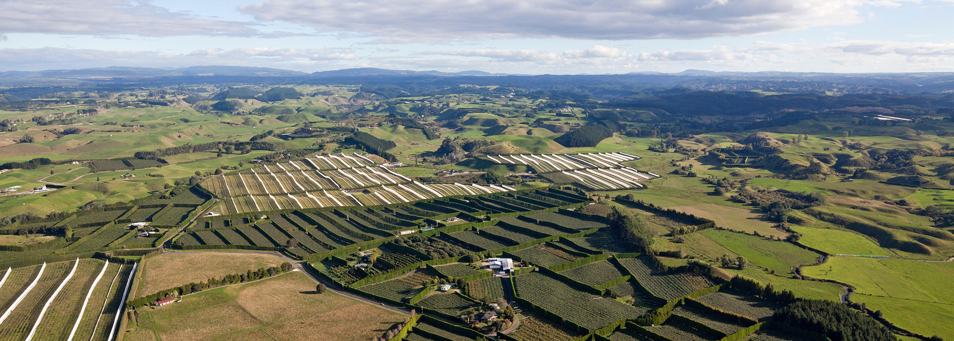 TE TAI TOKERAU WATER TRUST Who we are