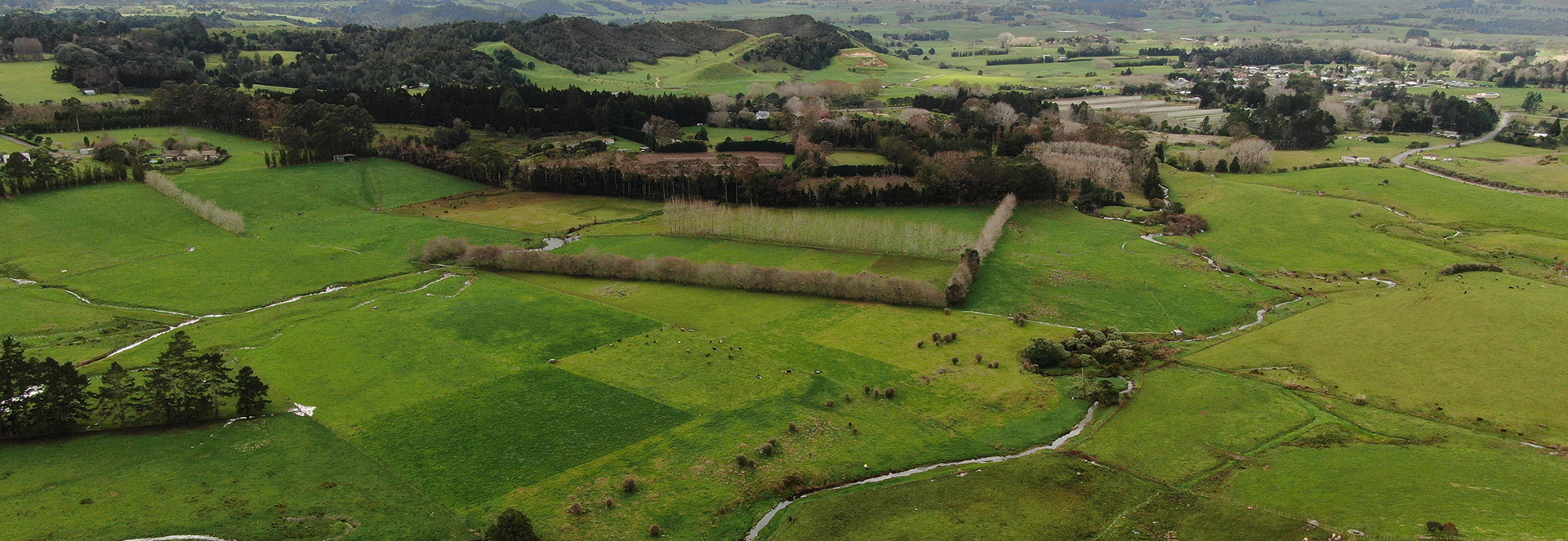 TE TAI TOKERAU WATER TRUST News Detail