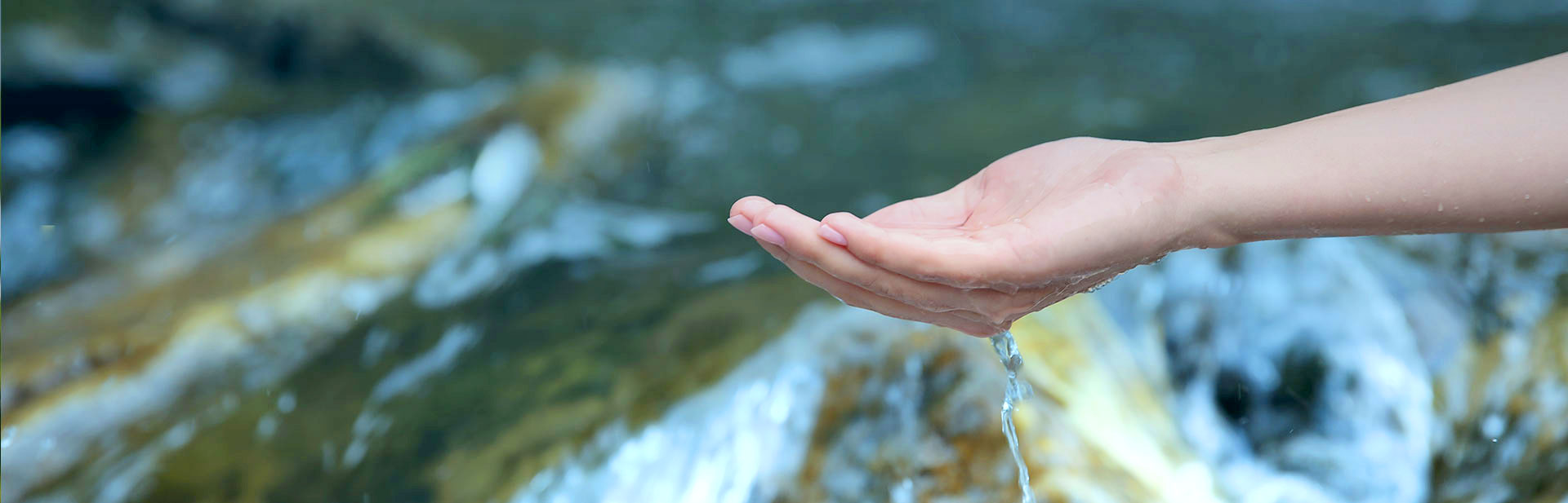 TE TAI TOKERAU WATER TRUST Information for Potential Water Users